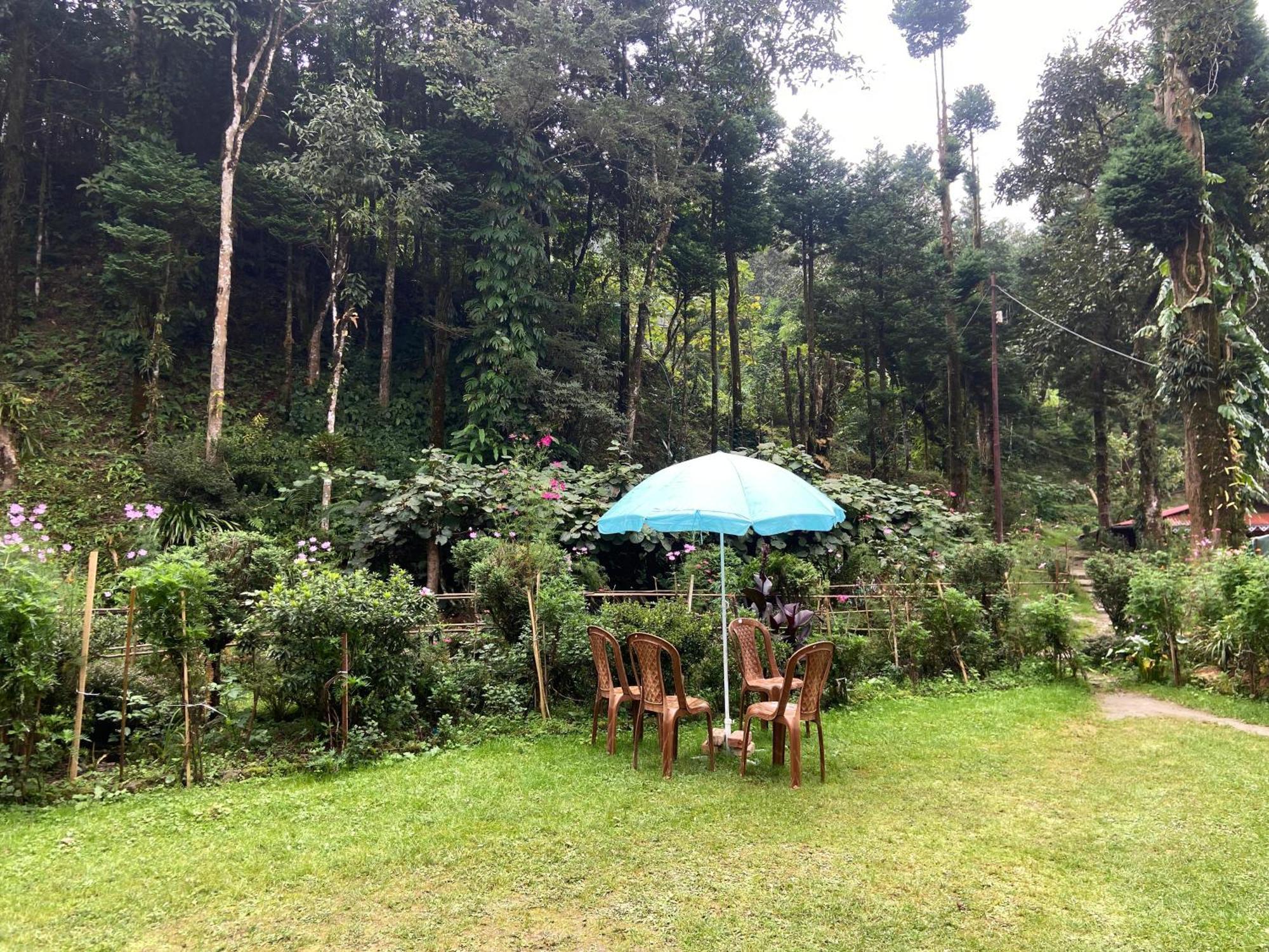 Magnolia Farmhouse And Homestay 다르질링 외부 사진